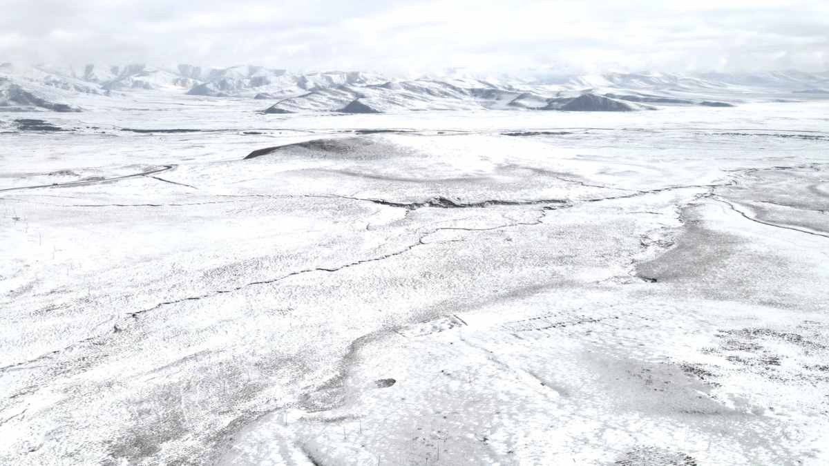 Reverse Travel  Lotus Treasure Leaf 3-Day Self Drive with Dog (with Guide) (12).jpg