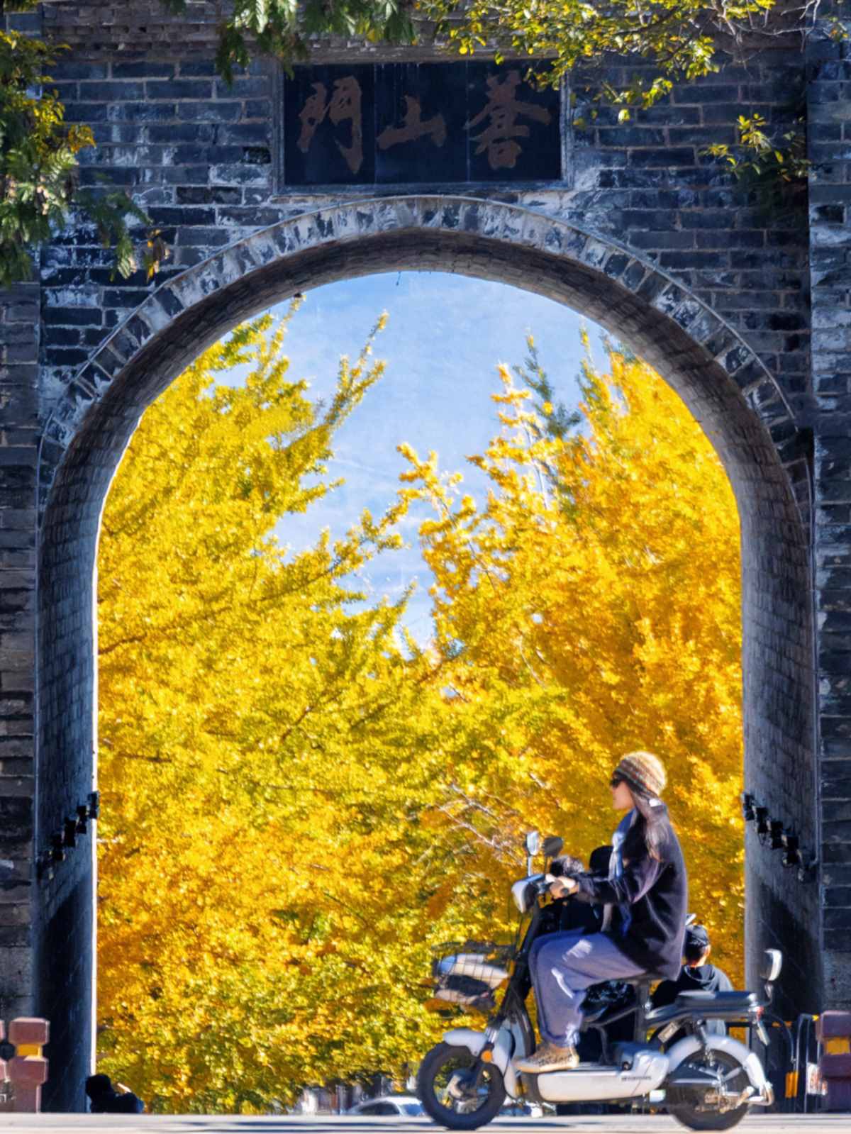 My favorite domestic parent-child travel city has appeared (4).jpg