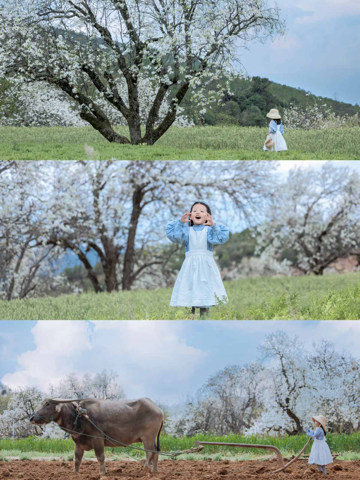 My favorite domestic parent-child travel city has appeared (9).jpg