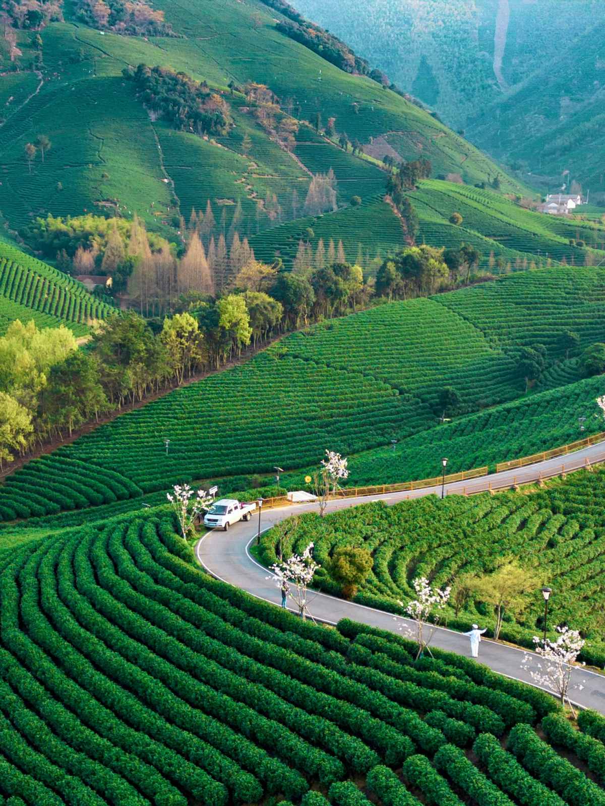 I went to Anji and even thought I had gone abroad when I posted on my social media (1).jpg