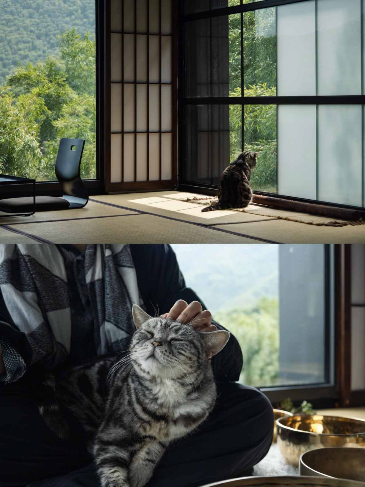 I went to Anji and even thought I had gone abroad when I posted on my social media (3).jpg