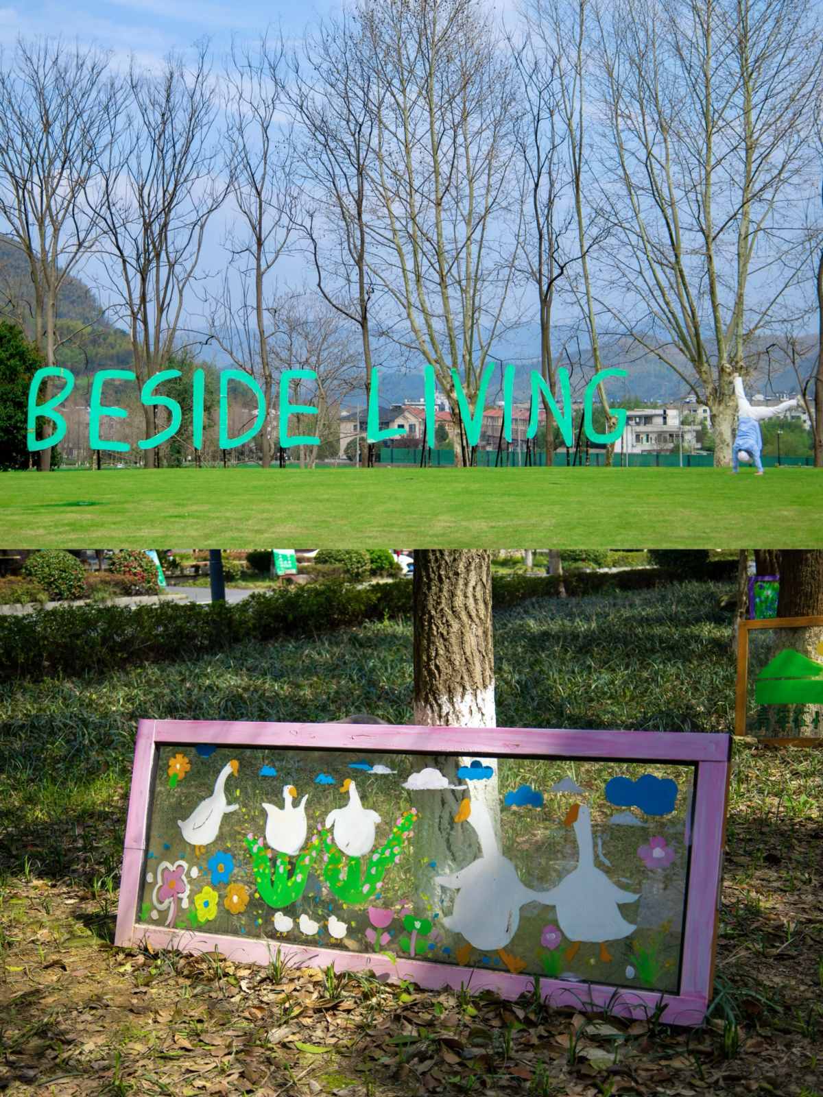 I went to Anji and even thought I had gone abroad when I posted on my social media (6).jpg