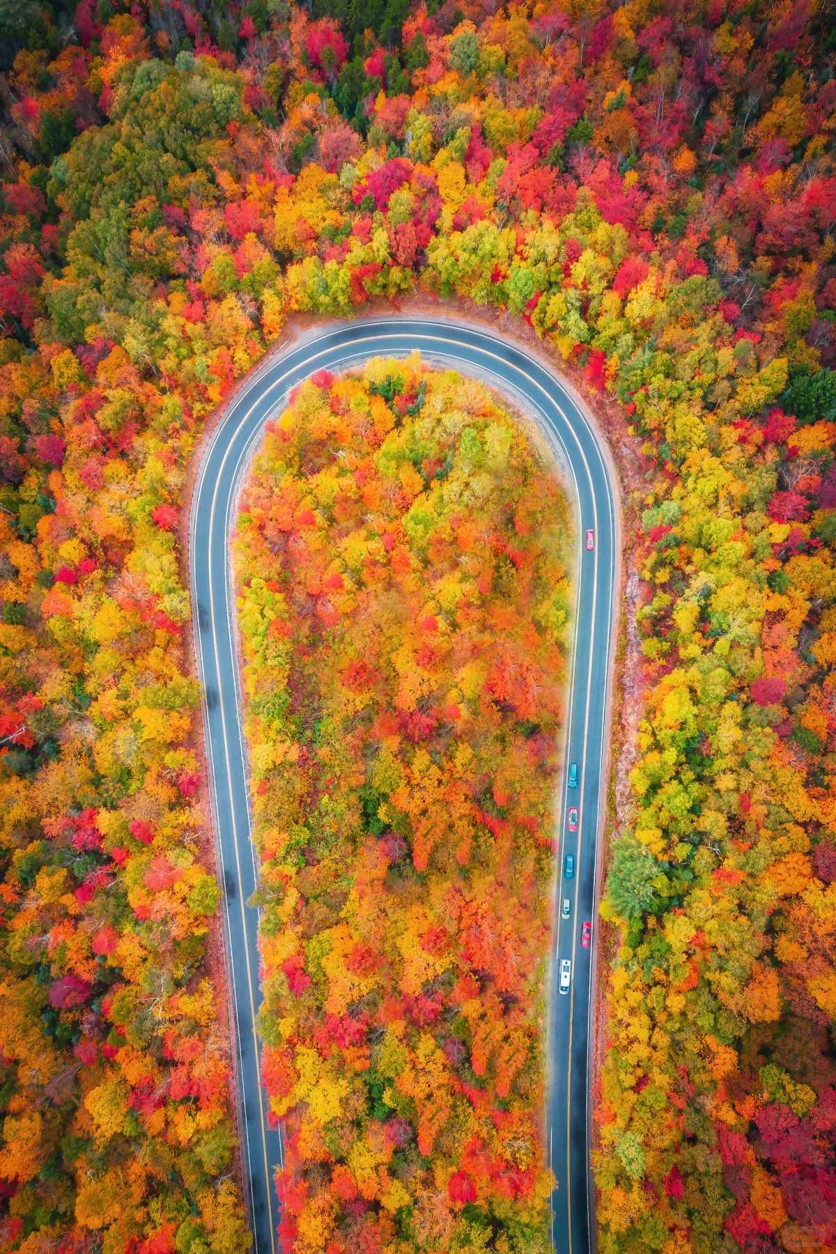 在大洋彼岸见到此生无憾的秋天 (2).jpg