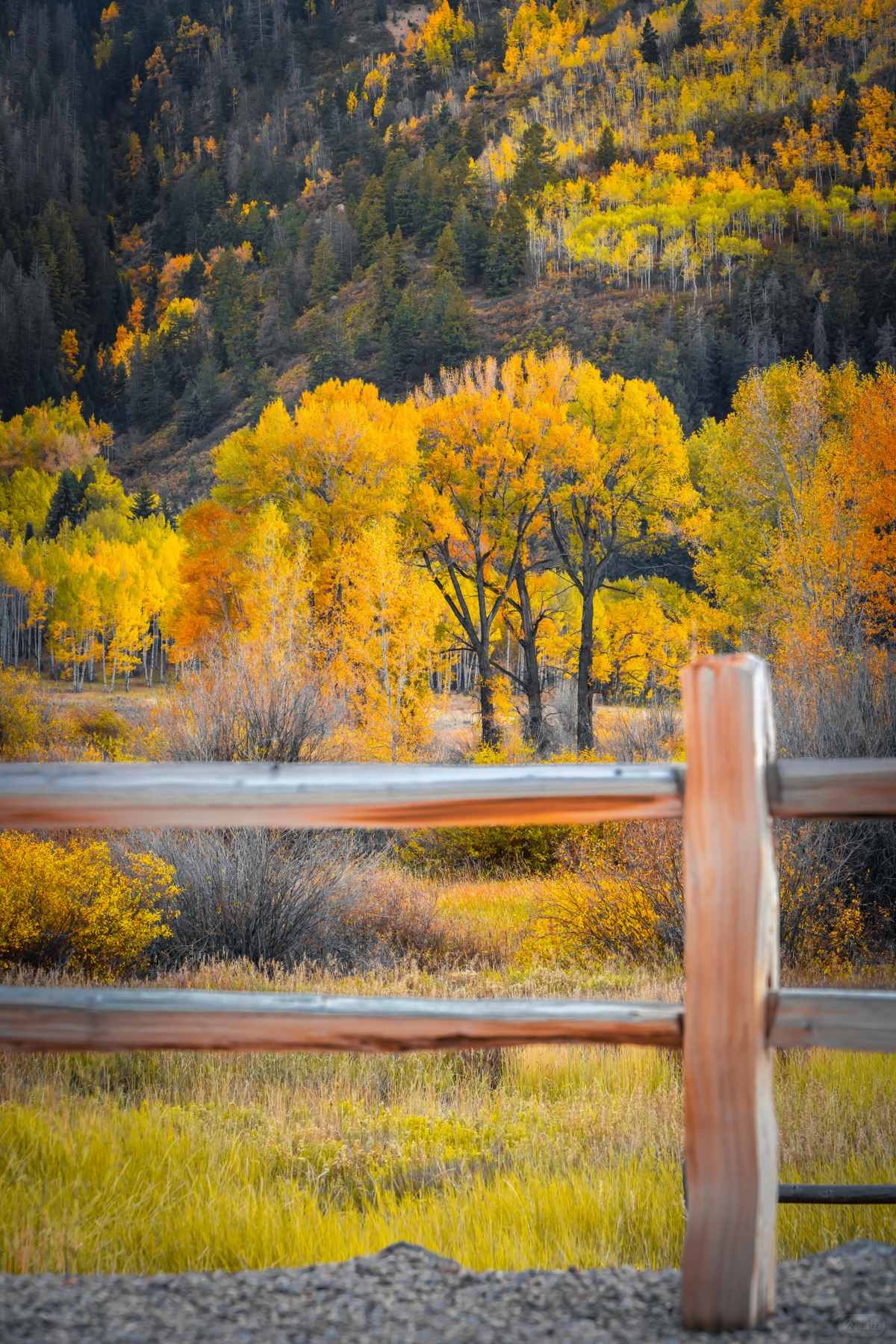 在大洋彼岸见到此生无憾的秋天 (5).jpg