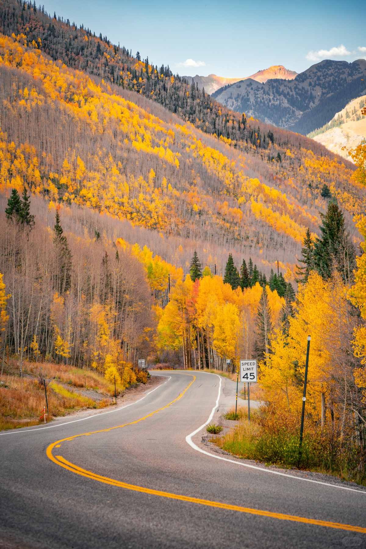 在大洋彼岸见到此生无憾的秋天 (6).jpg