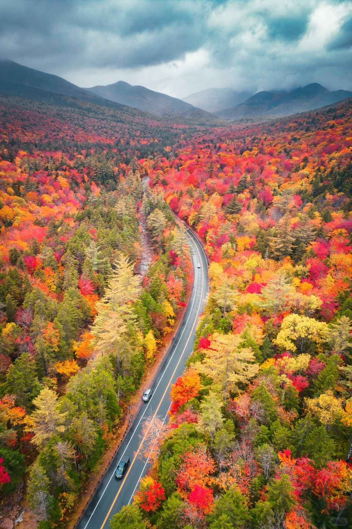 在大洋彼岸见到此生无憾的秋天 (7).jpg