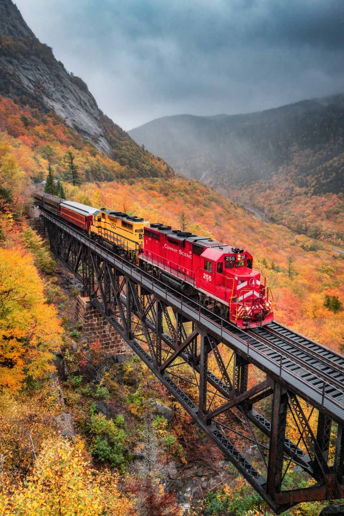 在大洋彼岸见到此生无憾的秋天 (8).jpg