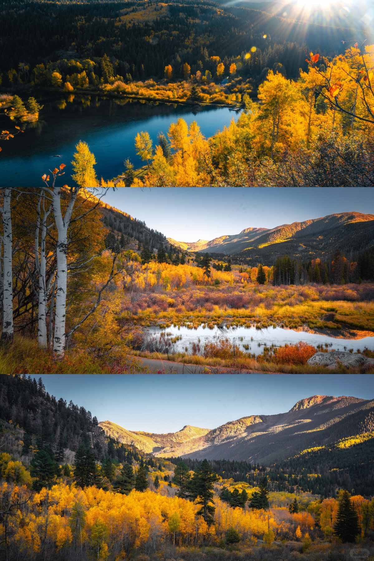 在大洋彼岸见到此生无憾的秋天 (10).jpg