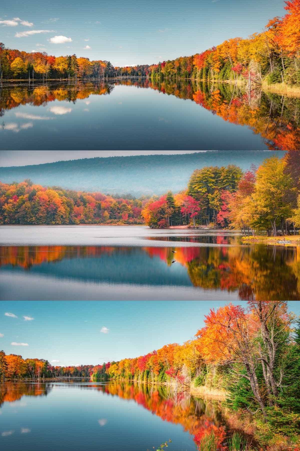 在大洋彼岸见到此生无憾的秋天 (9).jpg