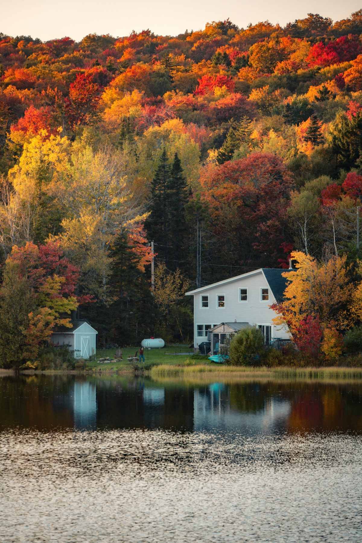 在大洋彼岸见到此生无憾的秋天 (11).jpg