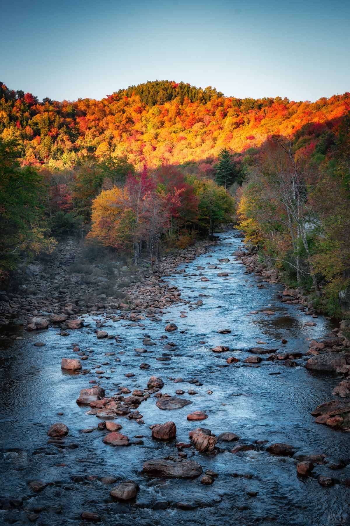 在大洋彼岸见到此生无憾的秋天 (13).jpg