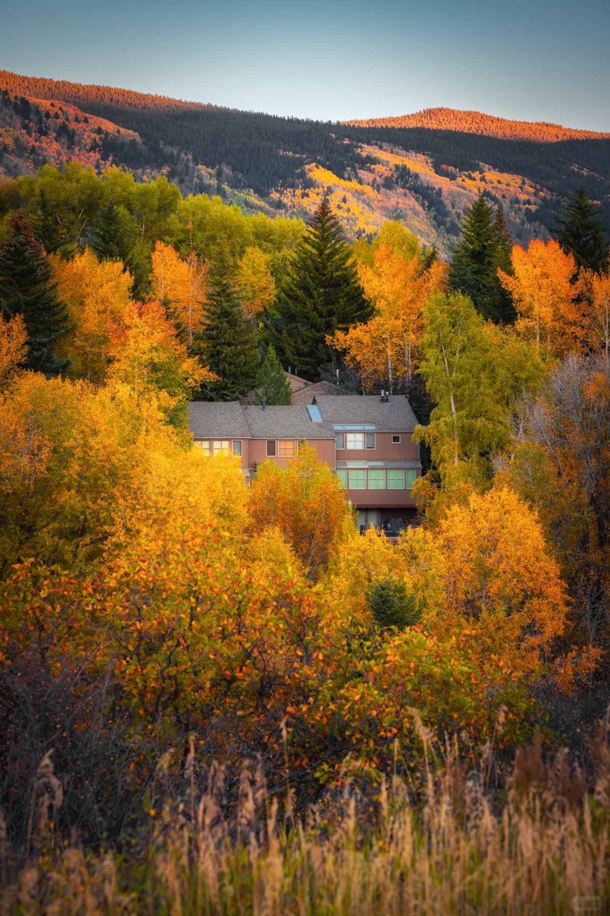 在大洋彼岸见到此生无憾的秋天 (15).jpg