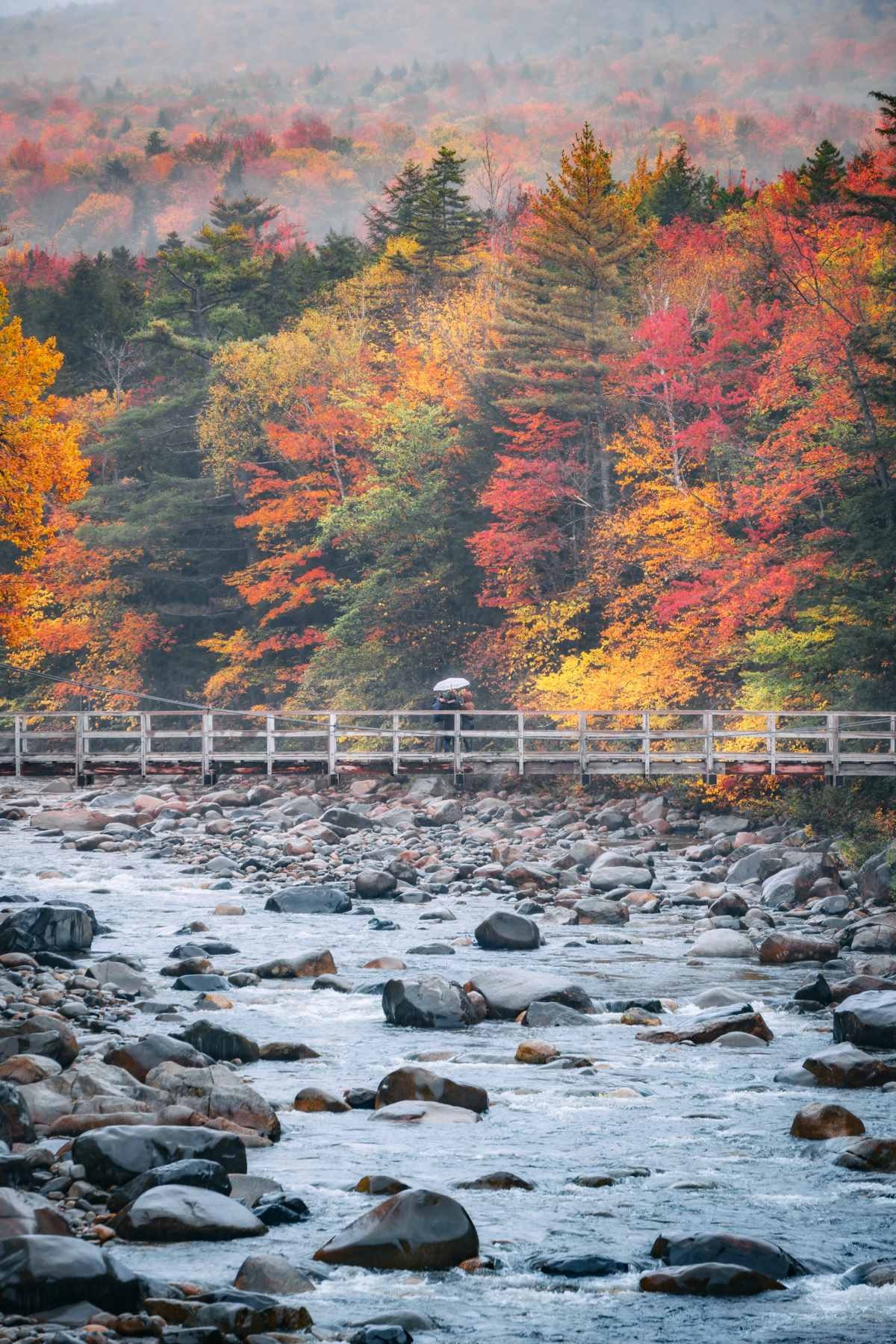 在大洋彼岸见到此生无憾的秋天 (16).jpg
