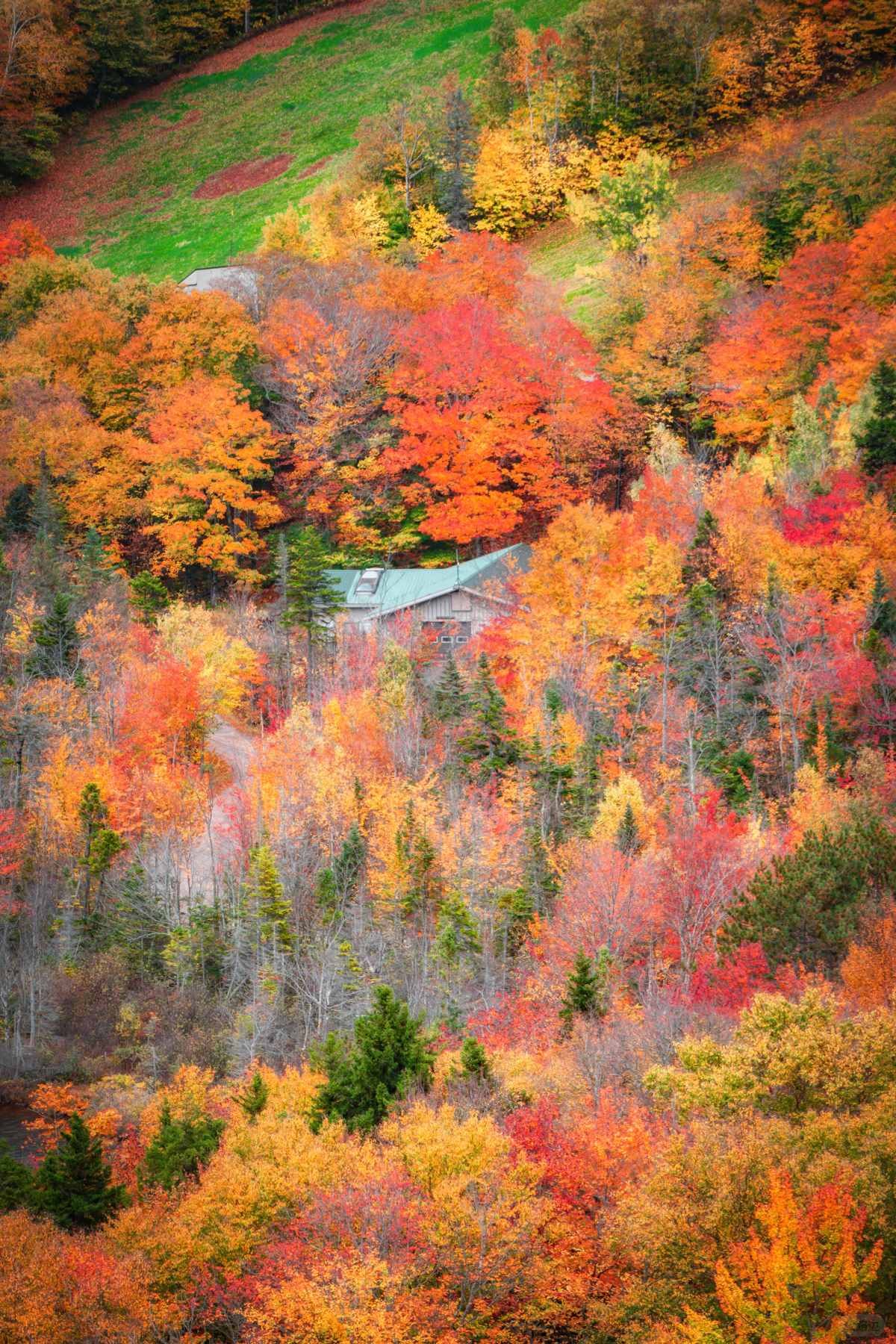 在大洋彼岸见到此生无憾的秋天 (17).jpg
