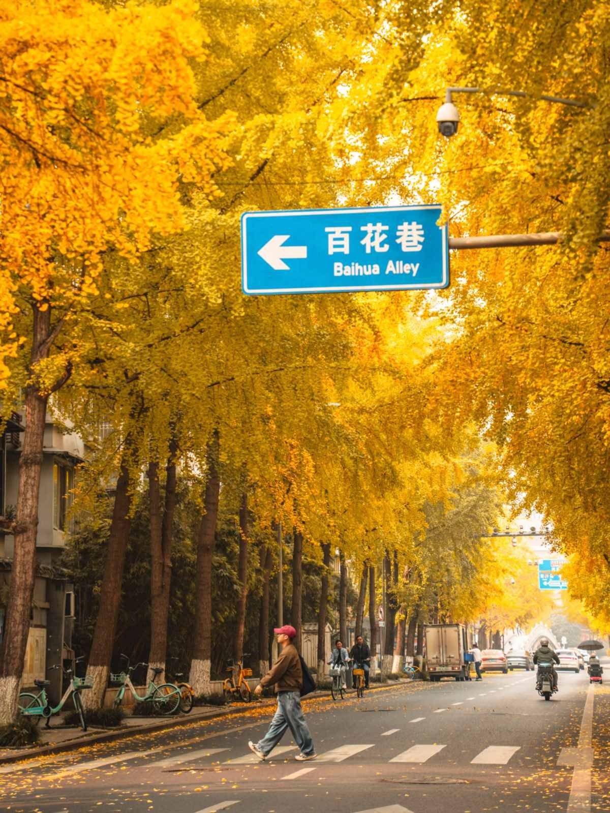 成都银杏Citywalk封神路线 (2).jpg