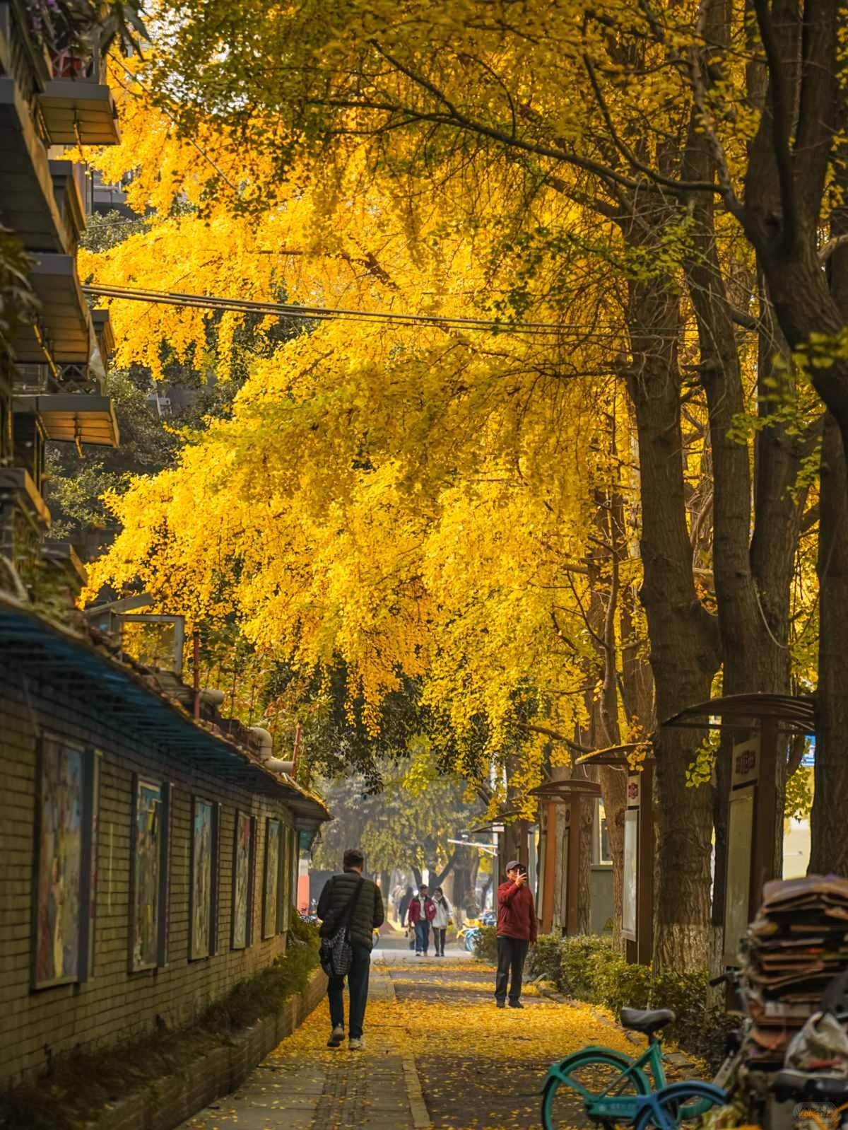 成都银杏Citywalk封神路线 (3).jpg