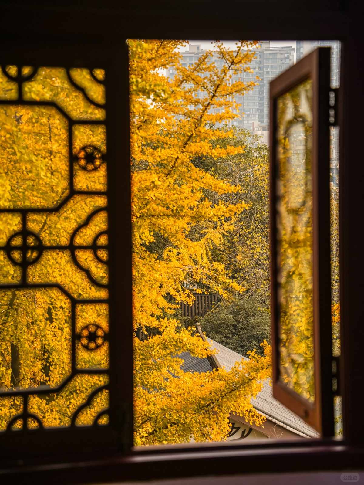 成都银杏Citywalk封神路线 (4).jpg