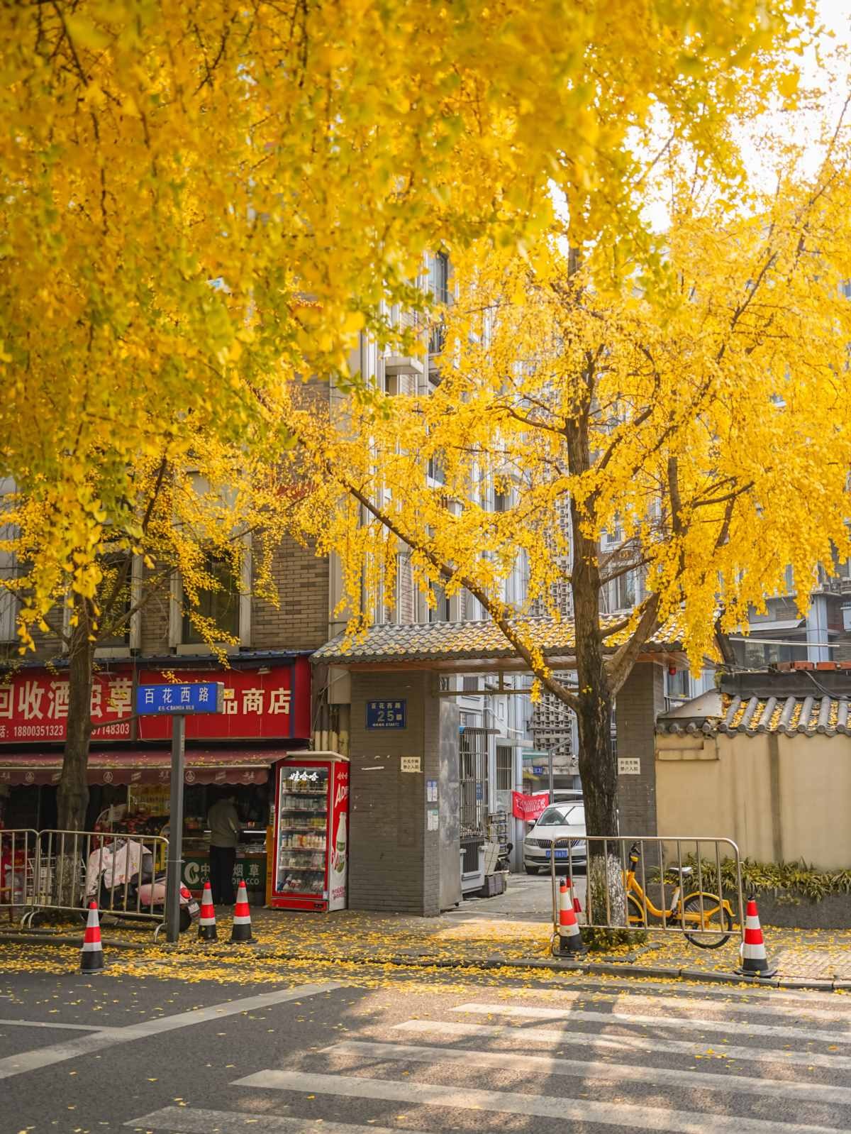 成都银杏Citywalk封神路线 (5).jpg