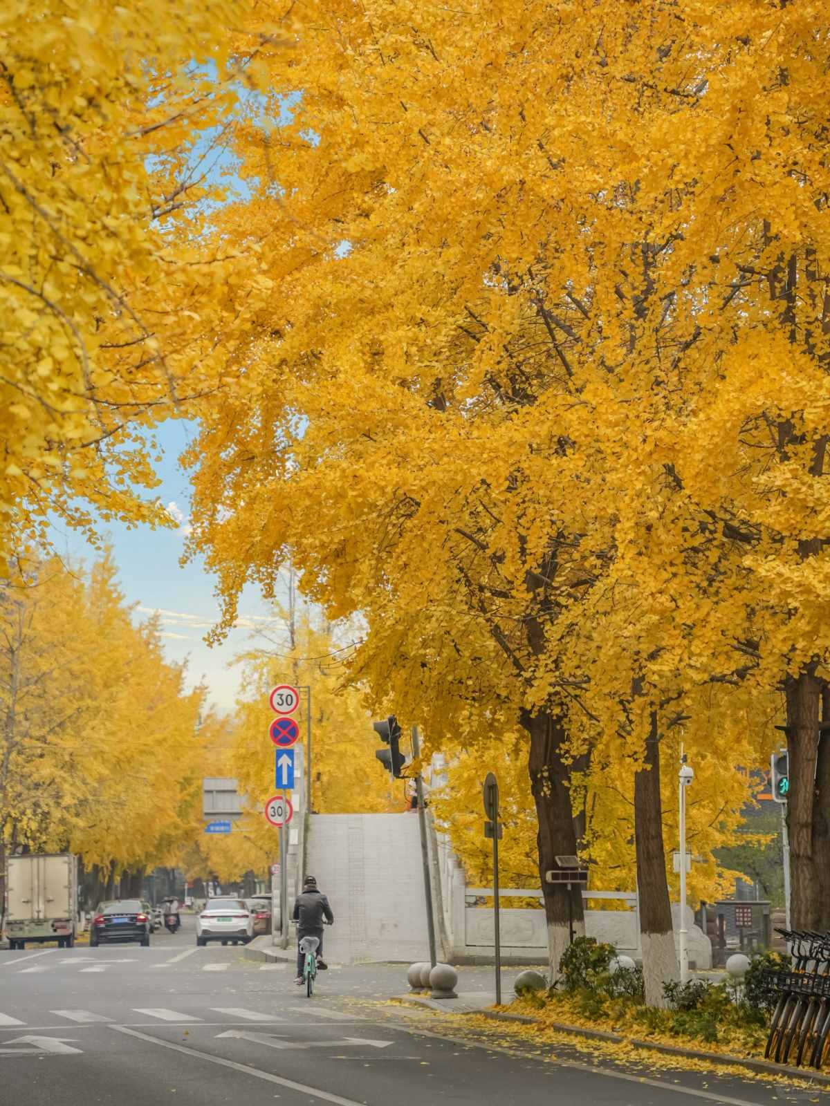 成都银杏Citywalk封神路线 (6).jpg