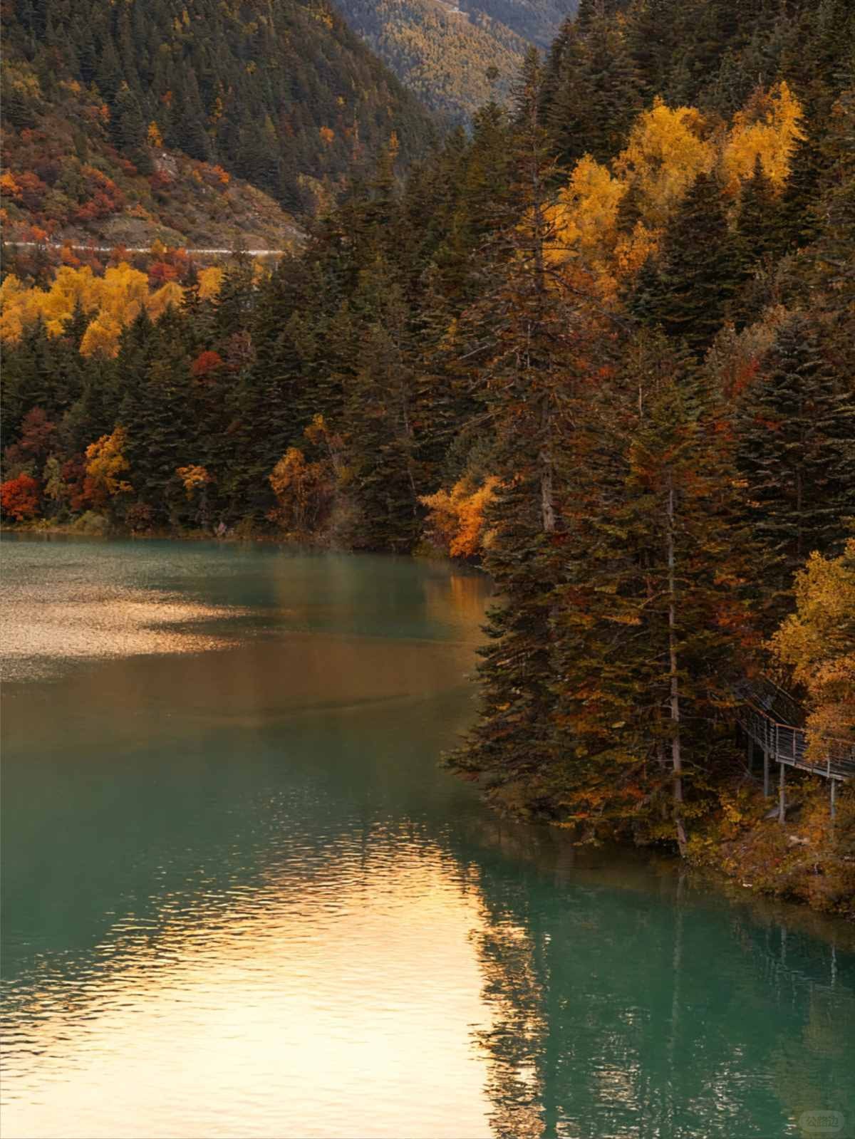 被《国家地理》评为中国最美的秋天有多绝 (11).jpg