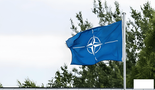 The situation is severe. The German commander said 800000 troops are in place, a.png