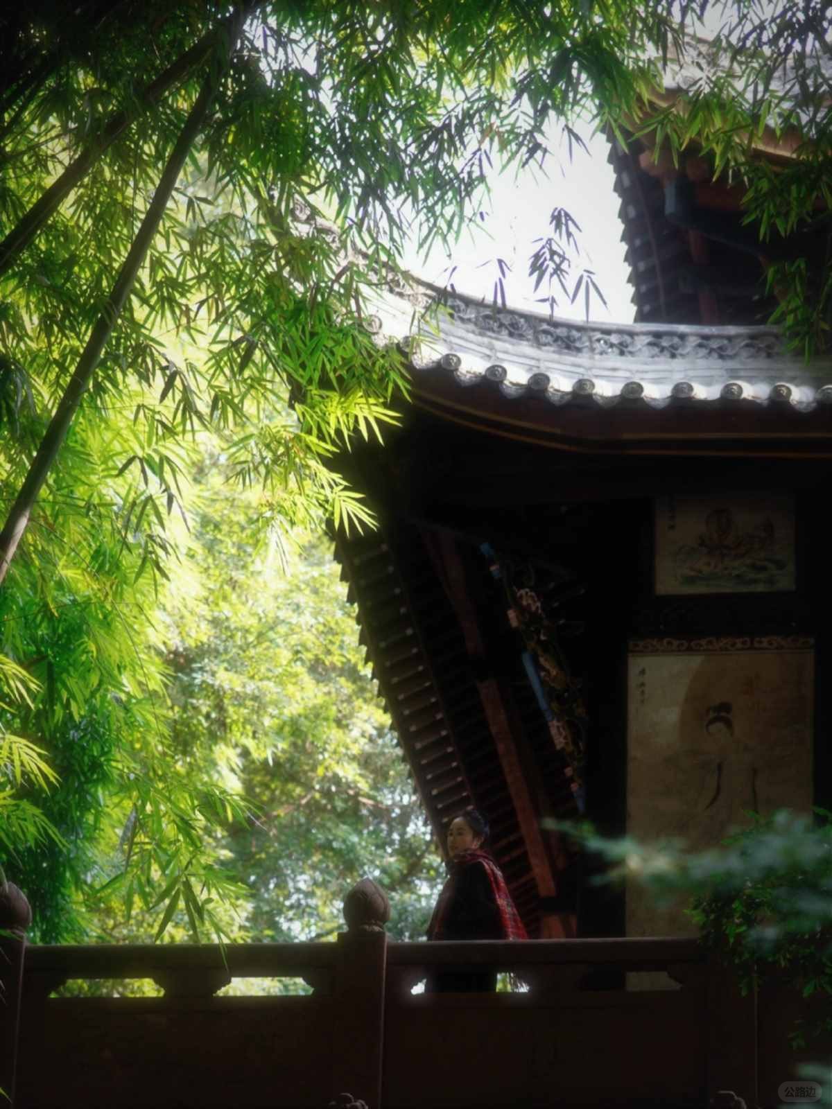 成都青羊宫的银杏进度已达99% (12).jpg