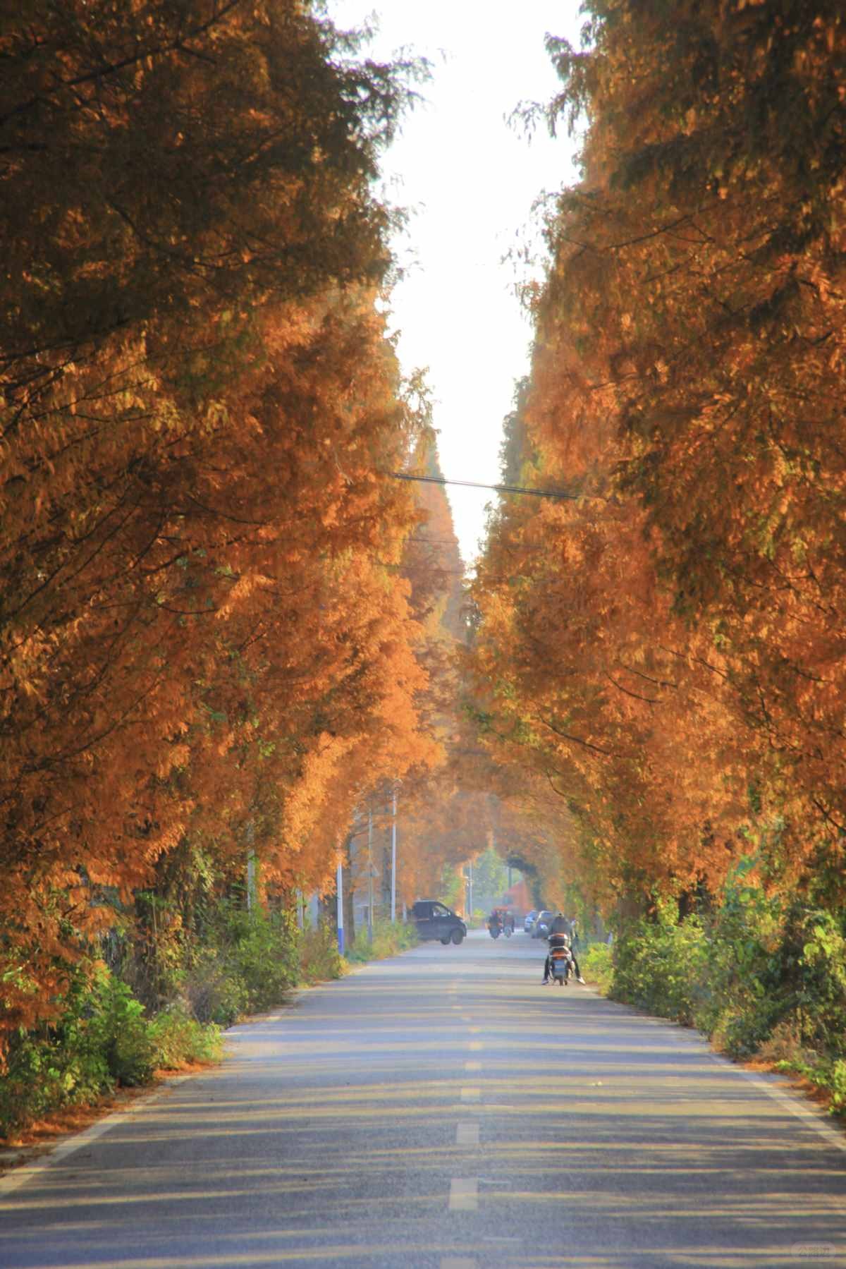 成都秋日限定｜新都宝藏小路 (2).jpg