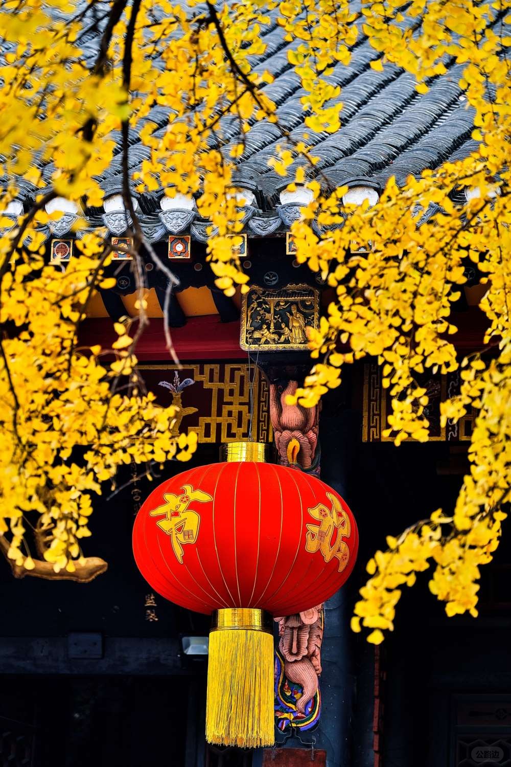 成都青羊宫那最后的一抹黄色 (1).jpg