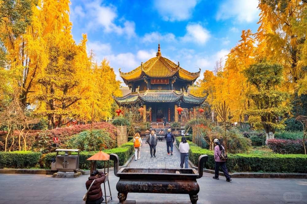 成都青羊宫那最后的一抹黄色 (2).jpg