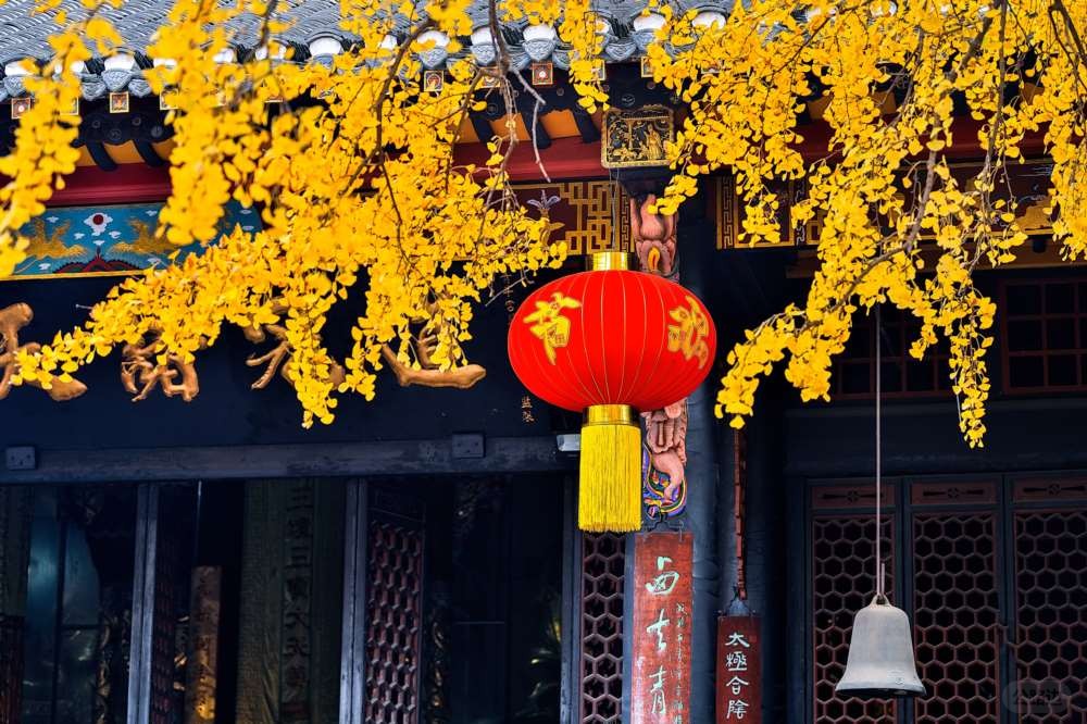 成都青羊宫那最后的一抹黄色 (7).jpg