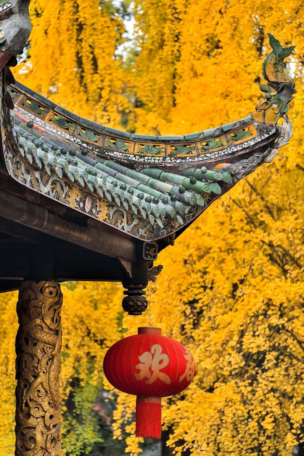 成都青羊宫那最后的一抹黄色 (6).jpg