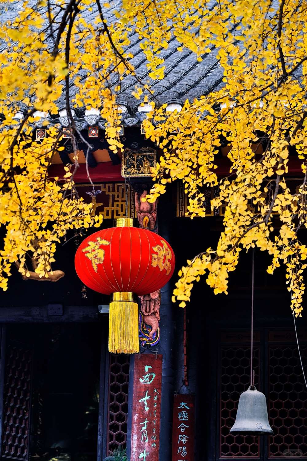 成都青羊宫那最后的一抹黄色 (8).jpg