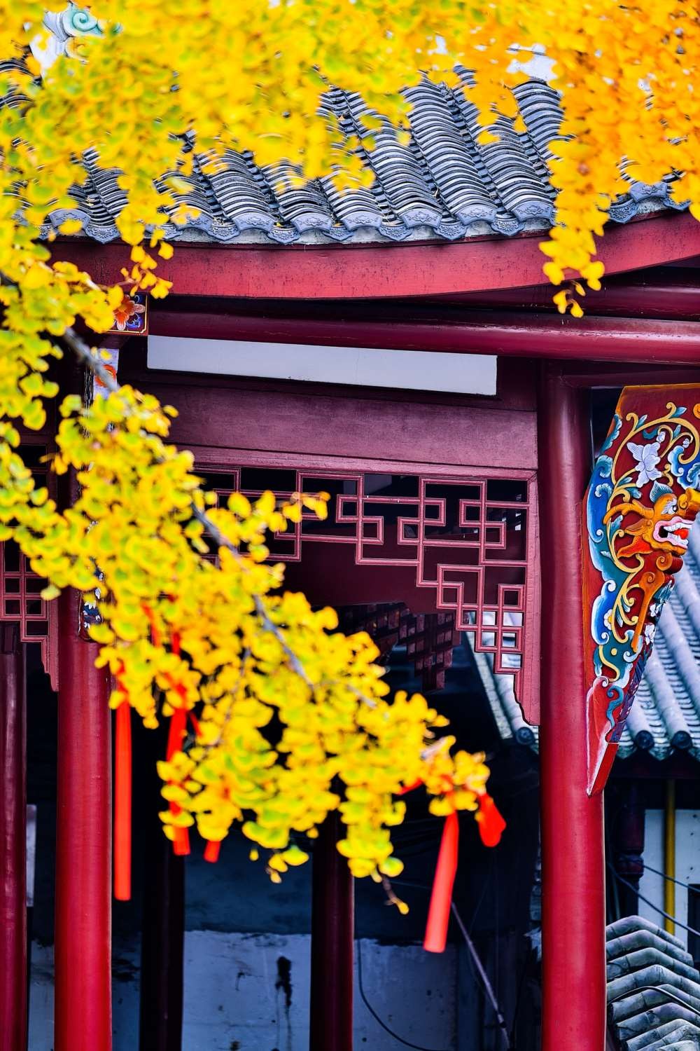 成都青羊宫那最后的一抹黄色 (10).jpg