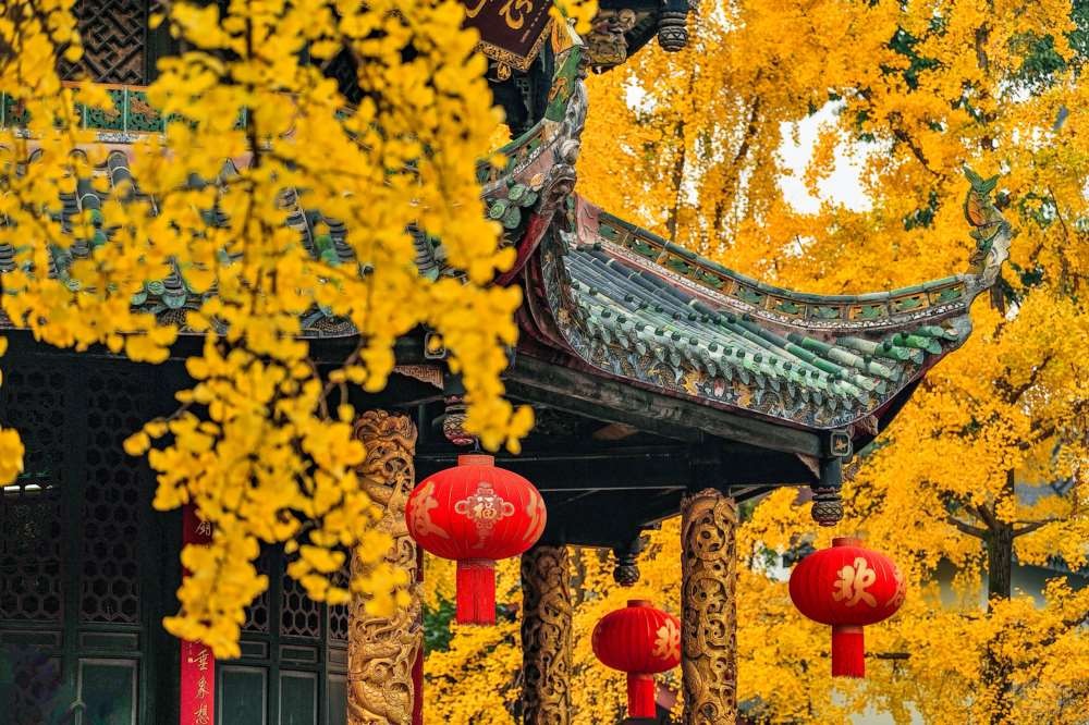 成都青羊宫那最后的一抹黄色 (11).jpg