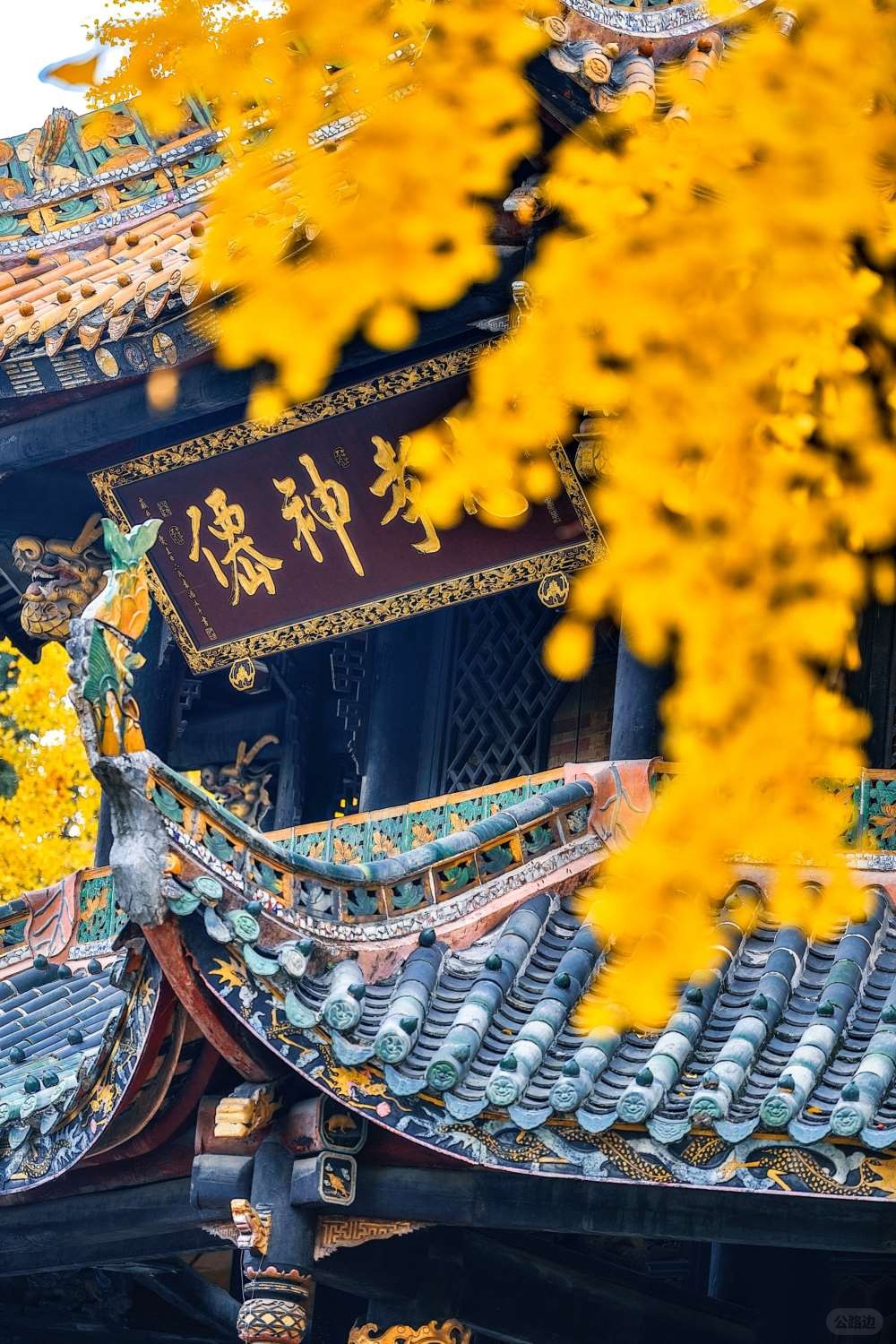 成都青羊宫那最后的一抹黄色 (13).jpg