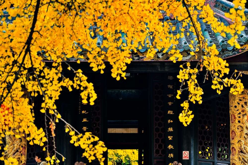 成都青羊宫那最后的一抹黄色 (14).jpg