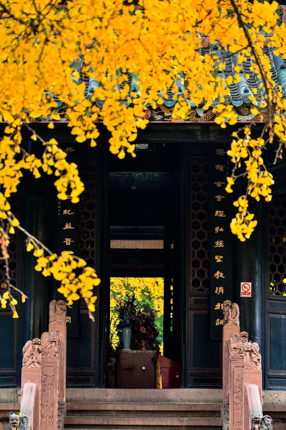 成都青羊宫那最后的一抹黄色 (15).jpg