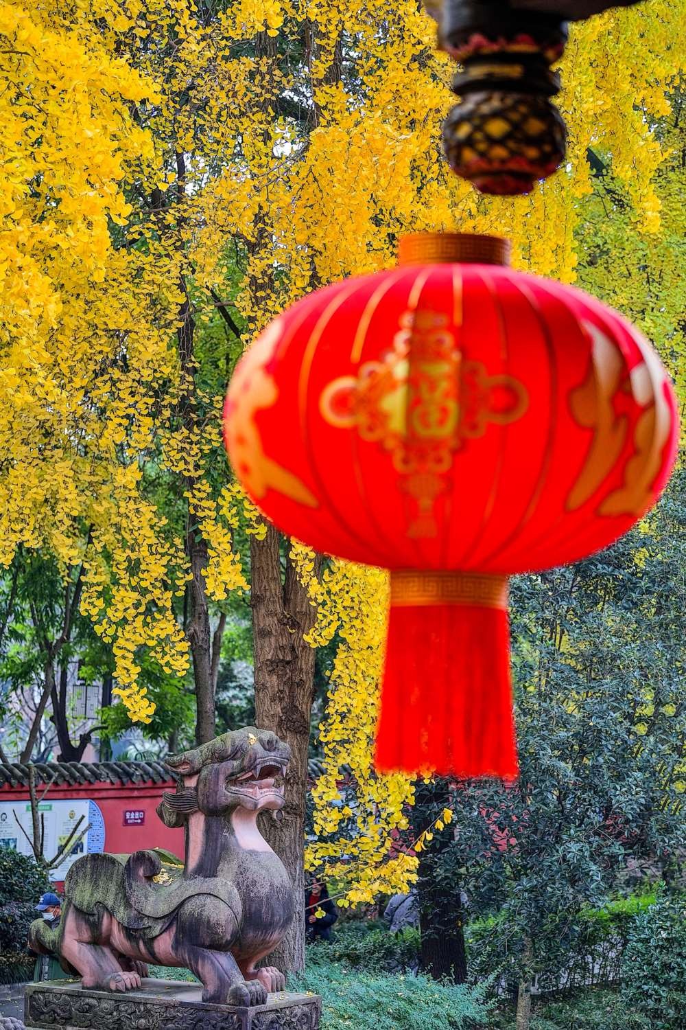 成都青羊宫那最后的一抹黄色 (18).jpg