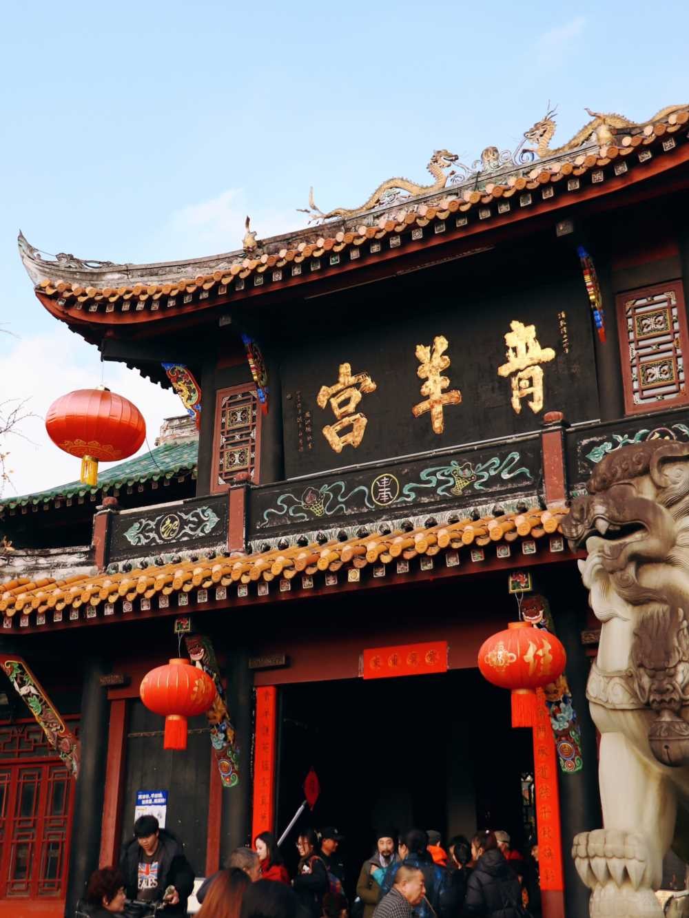 青羊宫实拍_银杏浓度已达100 (3).jpg