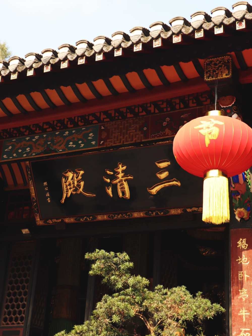 青羊宫实拍_银杏浓度已达100 (14).jpg