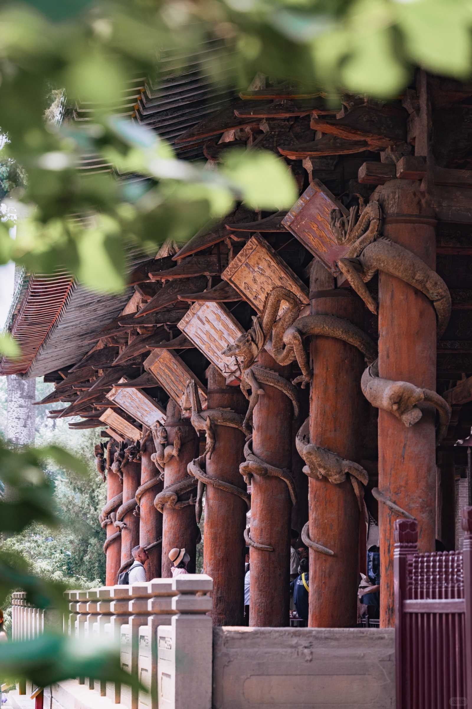 I Made a Special Trip to Taiyuan Just for These 18 Photos  Plus Shooting Spots (6).jpg