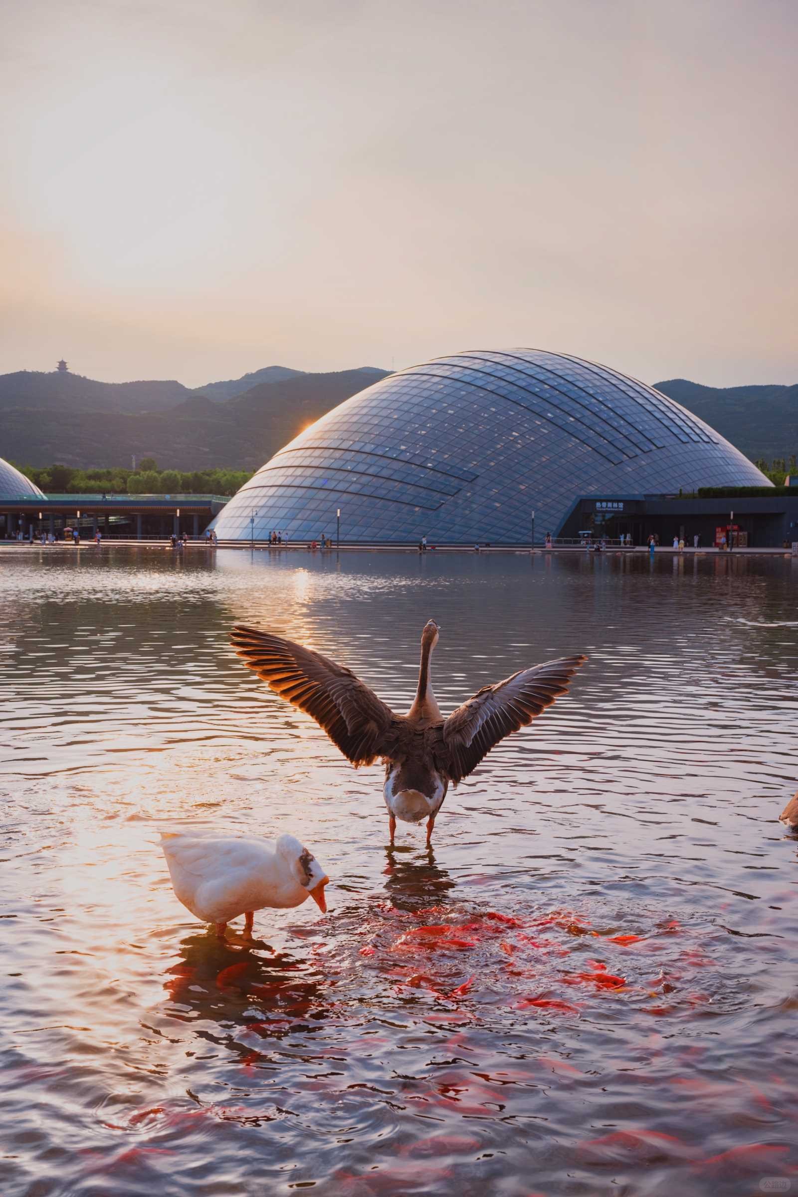 I Made a Special Trip to Taiyuan Just for These 18 Photos  Plus Shooting Spots (15).jpg