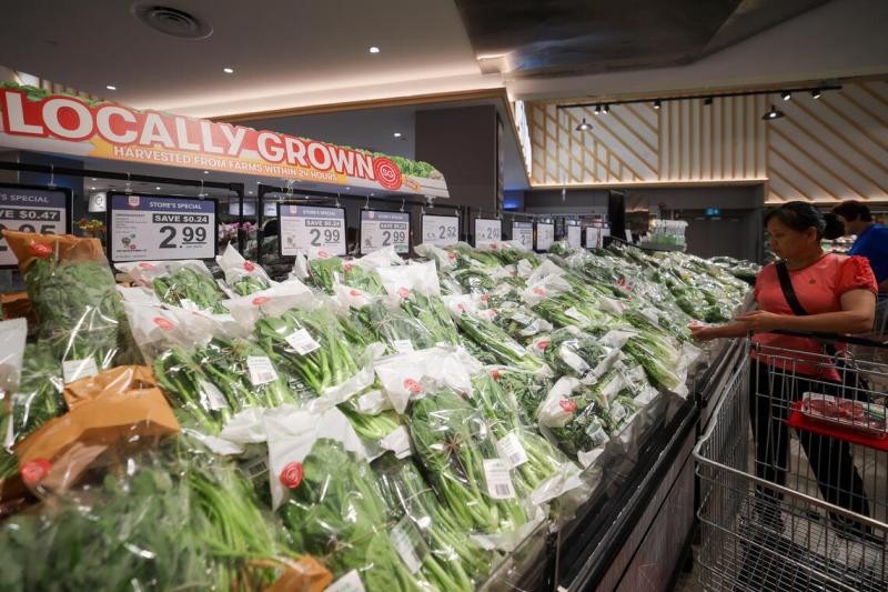 The government can also fund eco-friendly agricultural technology startups, stim.jpg