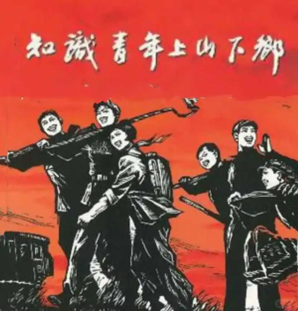 知识青年上山下乡.png
