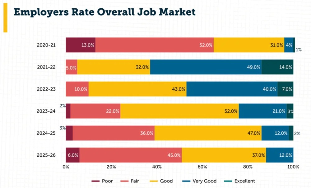 American Programmer  (7).png