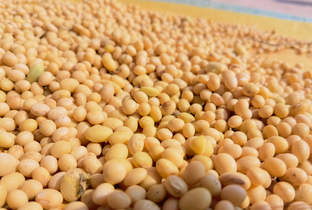 China-US Trade War Halftime Break Wont Last Beyond Next February (2).jpg