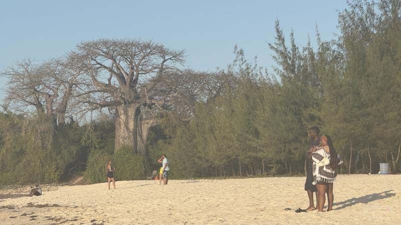 Chinese Youth Smuggle Themselves Abroad in Search of a Way Out.jpg