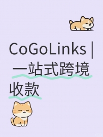 帮出海卖家收款渠道平台有哪些？到账/费率/提现路径