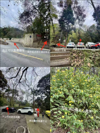 成都1h|清凉不晒🍃很冷门轻松的徒步路线！