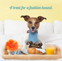 Designs Runway Pup Collection Unique Squeaky Plush Dog Toys Prêt-à-Porter Dog